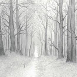 Into the Darkest Season